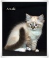 /album/arnold/arnold-12-hetes-001-jpg/
